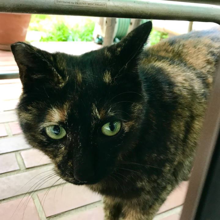 52d7c157 3586 4465 8444 131e59924a87