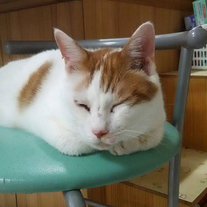 52d7cfe6 e7ee 4827 bdc4 d7dac1948378