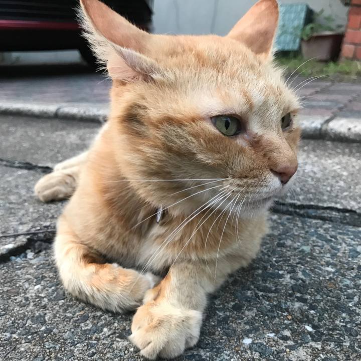 52d87efb 0507 4275 8cfd 43e6f2ec773c