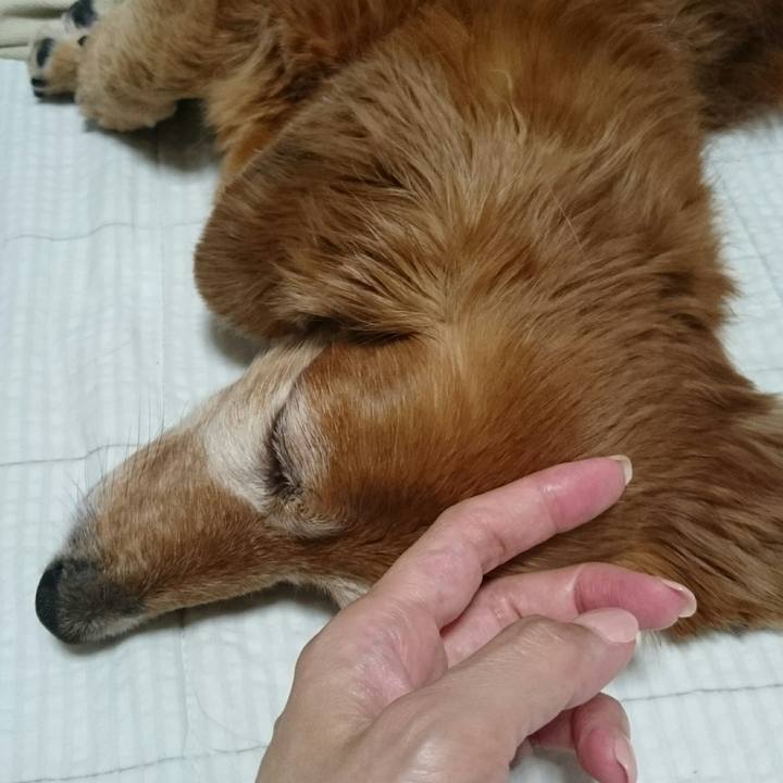 52d8f492 546f 48c6 baaf f53b2ea71026