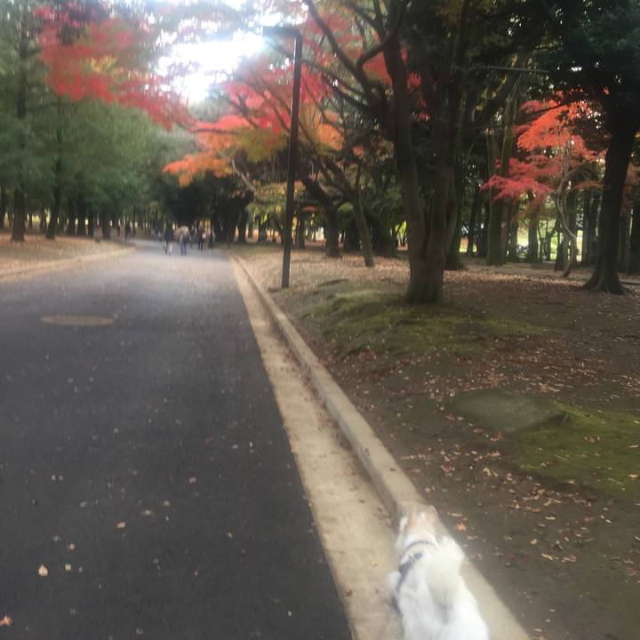 52d97f8e e041 4adc 8c81 e0e846ee84ba