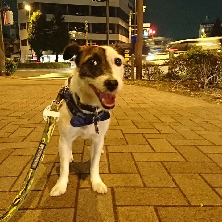 52d997d5 891e 4c89 80c5 f07ea50bd5e9