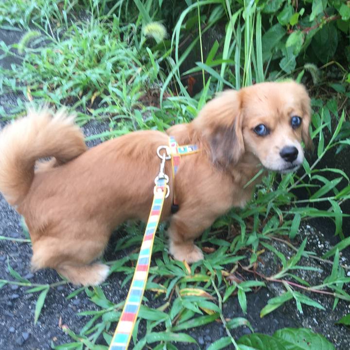 52da80af 0a77 4328 a9a7 cd6f5824a765