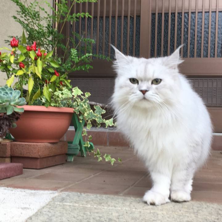 52da8f55 5613 40ef 9f26 b67a3a63df07