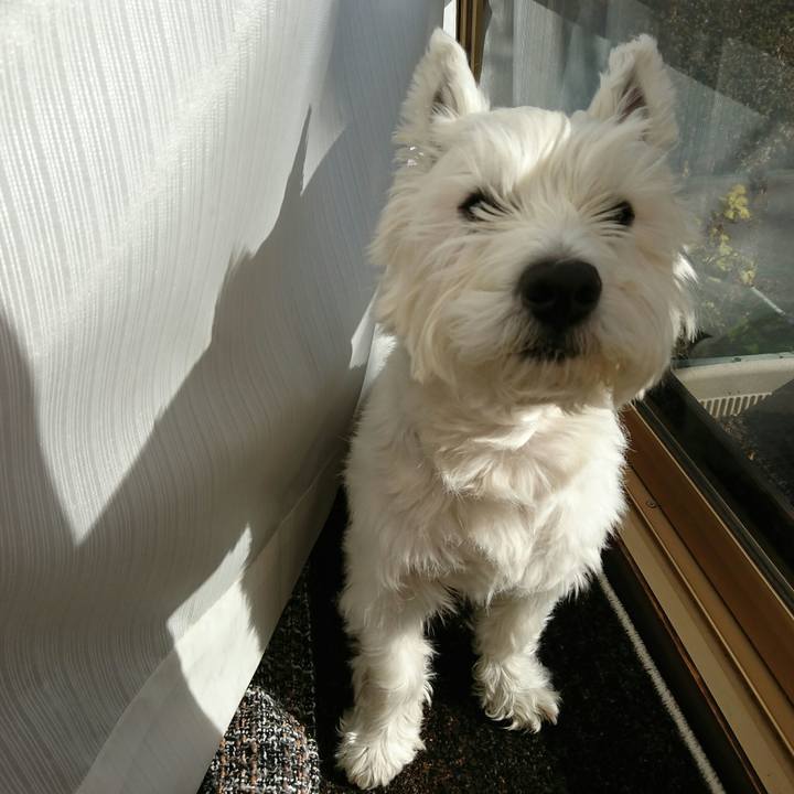 52dbae10 2556 48ee b254 7a70ab135d15