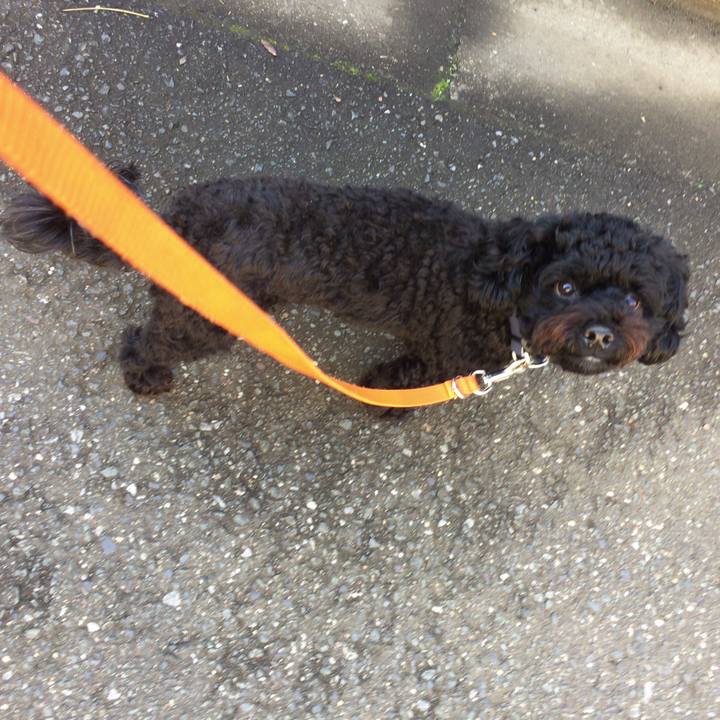 52dc2845 e171 4ecb b6ea 4d4a45ff693b