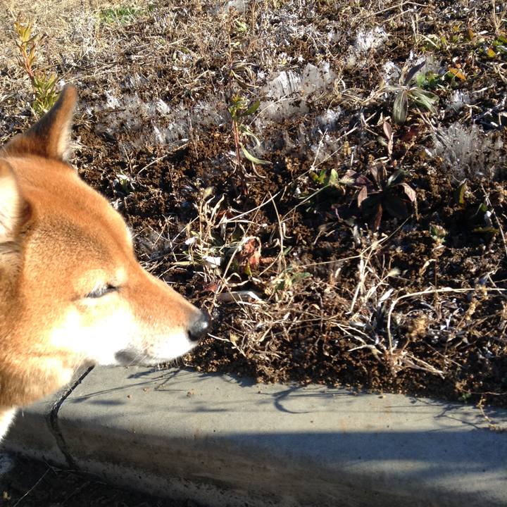 52dc2b5b afb3 403c 9c9d d29307f23736