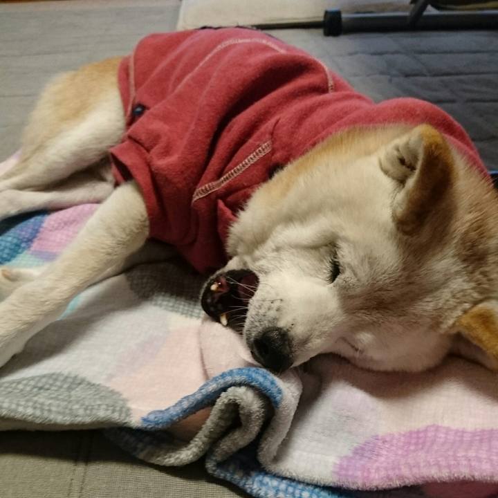 52dc4f2a afe9 4132 ab64 db86dc8443e5