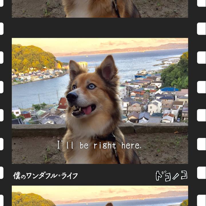 52dc8aca 4f46 4fc6 b6a2 44df3406bc21