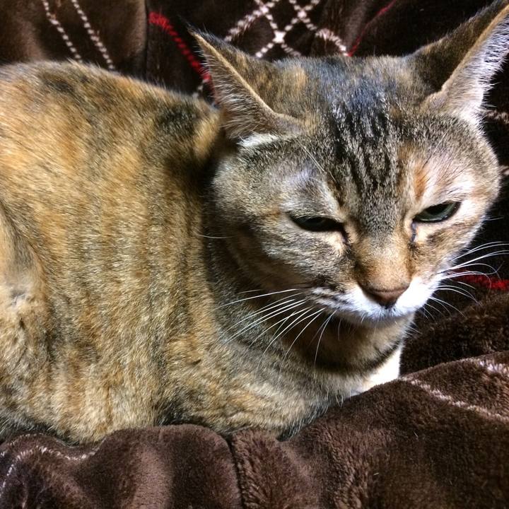 52dce802 b52f 4357 82ad 42ea21ef4c93