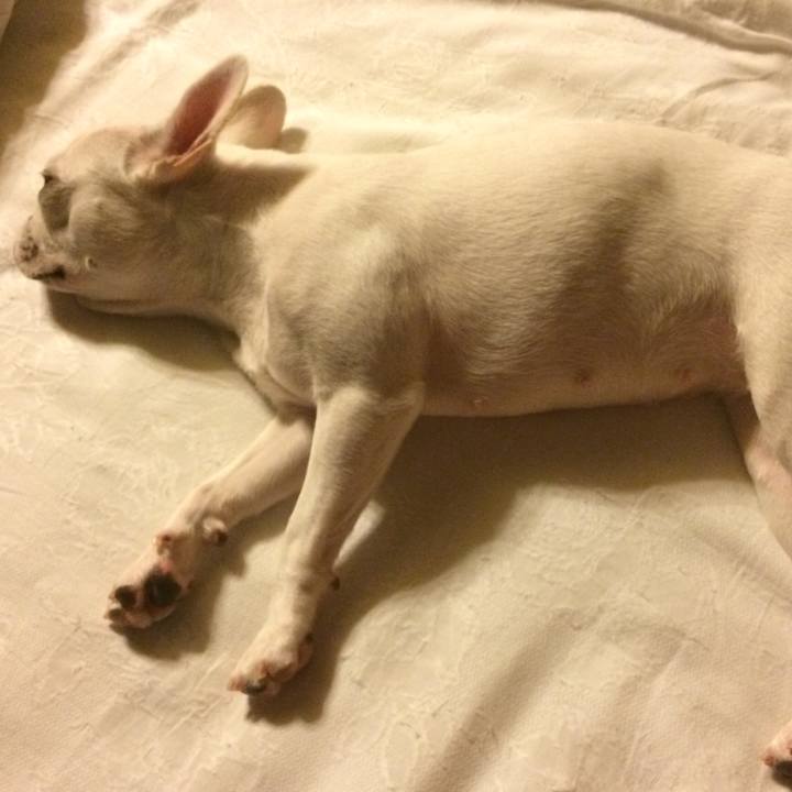 52dd8544 dd96 4e1b aabd 37393ce9e9d7