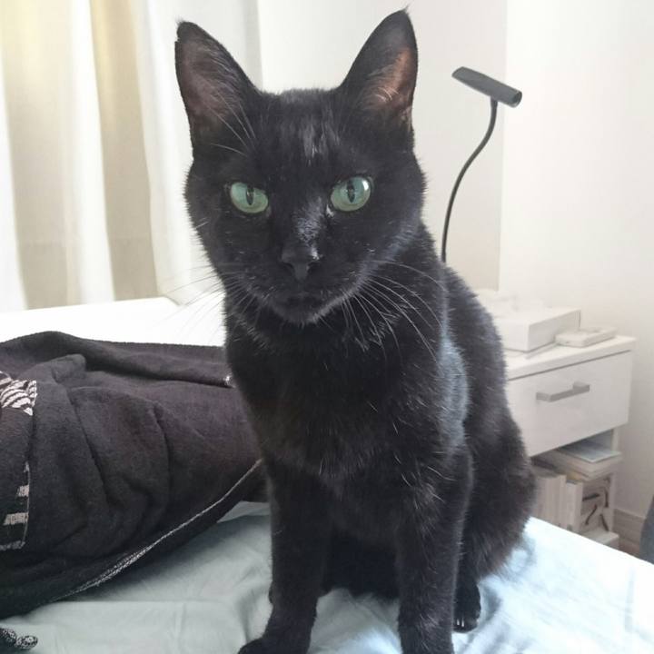 52ddcdd1 cc70 4ead beaf 1c7b9894130a