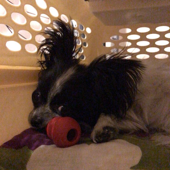 52de3c25 ee8d 47c5 b035 0fec054bb536