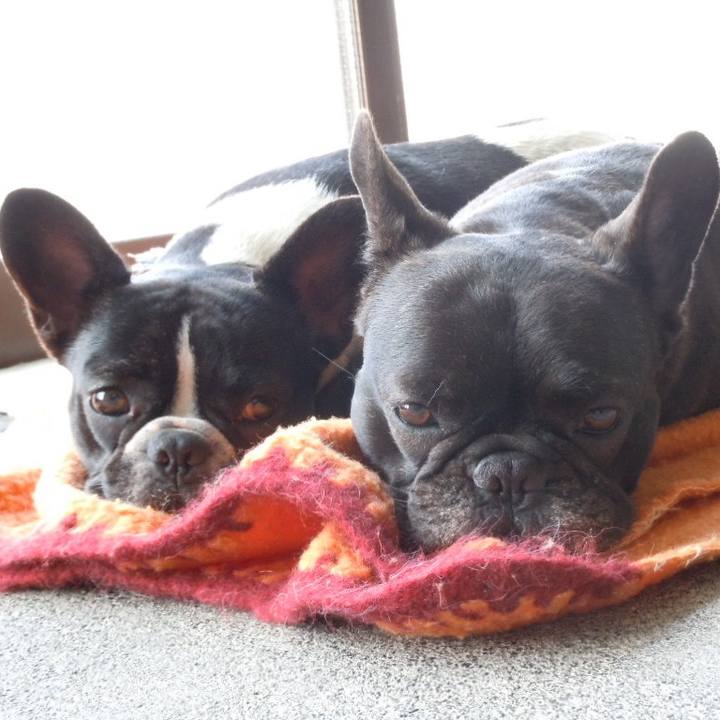 52de3c4d db54 4cc8 980f e80fd1af1ba3