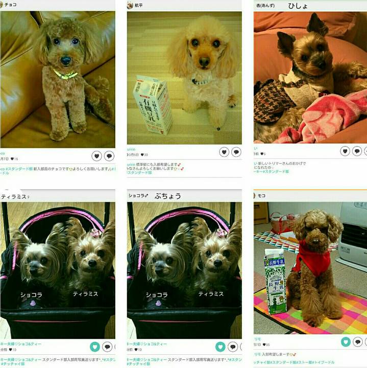 52deb4ea db7b 4917 9a0a fb6acdc5c821