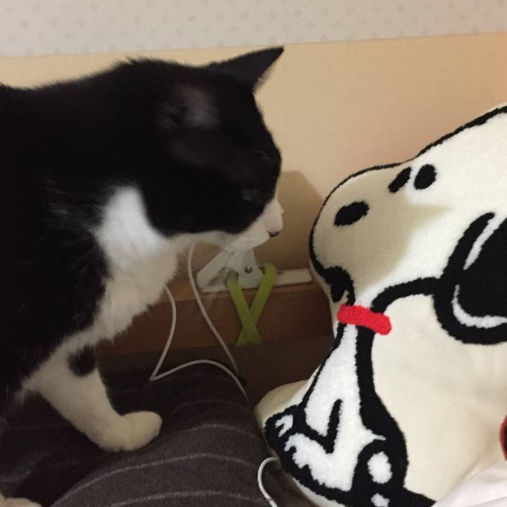 52dec726 21f5 4d27 b749 1c6170481f72