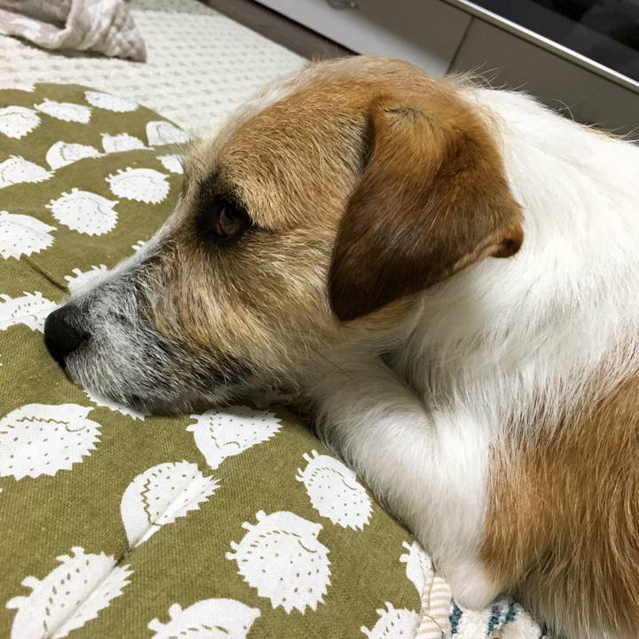 52e069b6 00a5 4d1c 8210 5811a9d9eed7