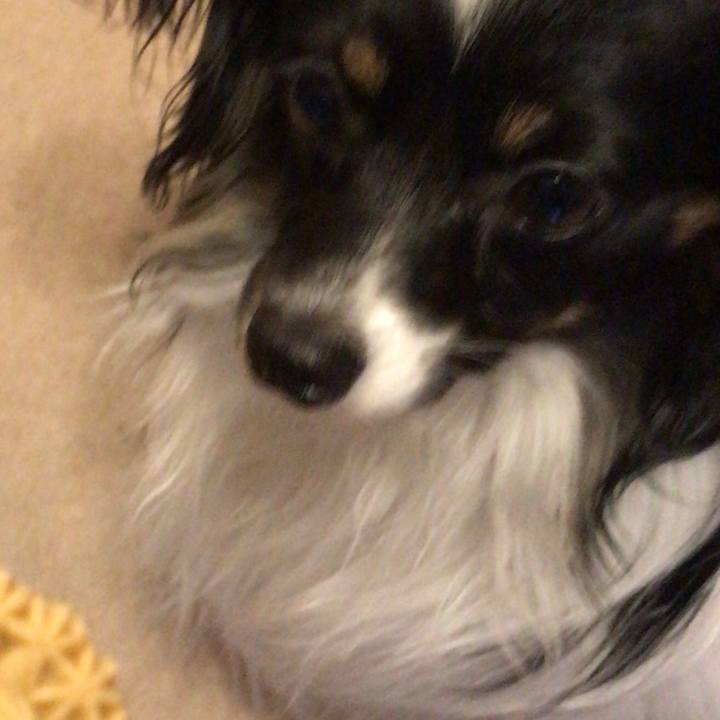 52e188ff fc86 42dd 98b3 684dd9681447