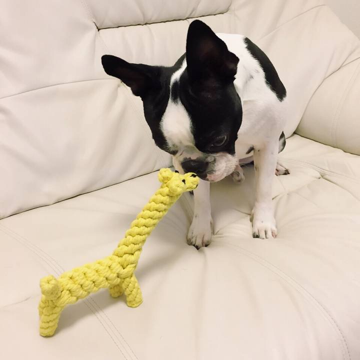 52e18cbd d78b 4b71 a792 ad7ffab7b59d