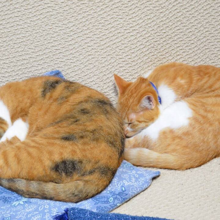 52e1ce67 9bc8 4c0d a42c adde2a95c4af