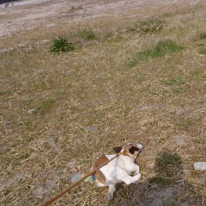 52e1e5b9 b349 4efe b1c1 a461f689946f