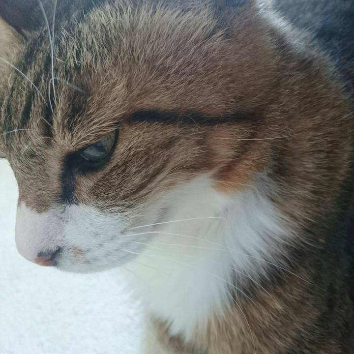 52e28b47 3201 4a6a 961f 964c8a597a9e