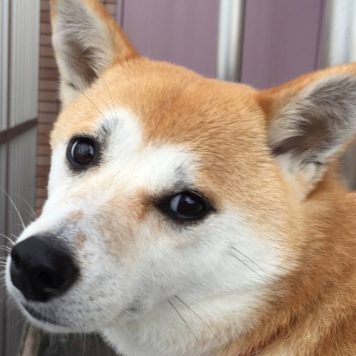 52e31b32 4cdd 4188 aa1d cfa13a01a81f