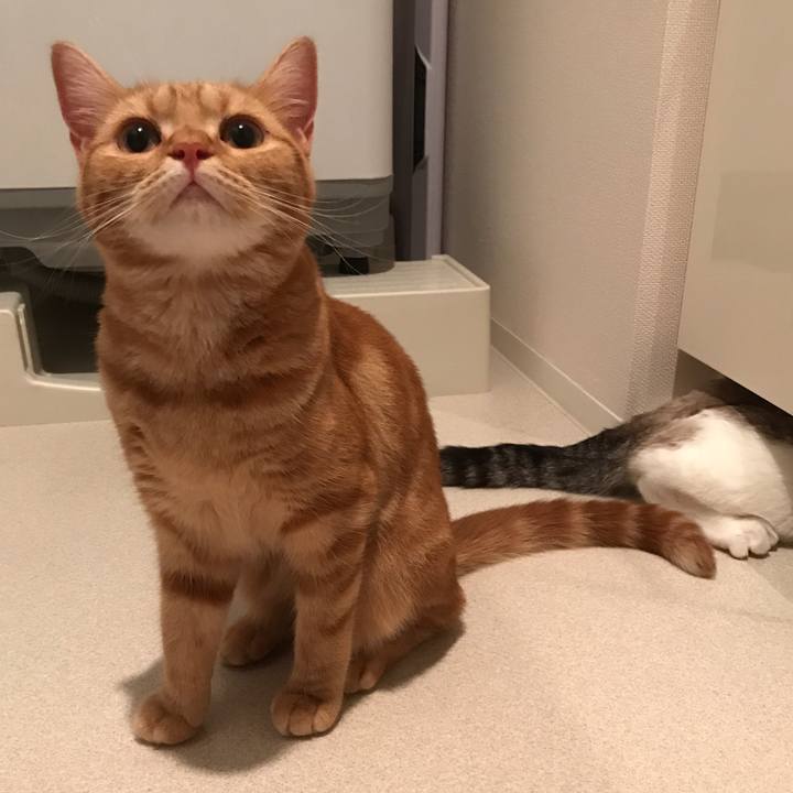 52e38684 0b93 47f7 9565 8243b4ae11bf