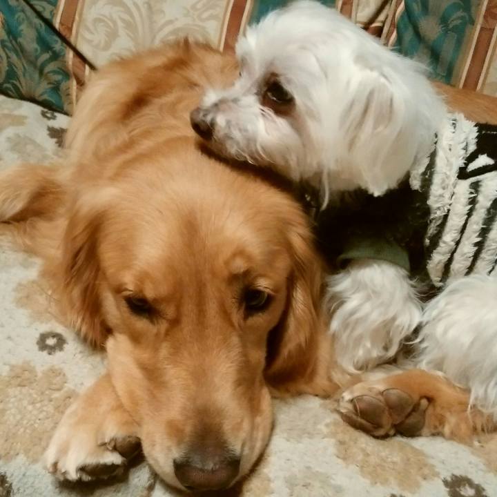 52e3e56d a64b 4489 aded fc9ebc1051cf