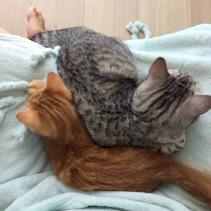 52e4e388 0114 4564 a302 c448d6d7a28d