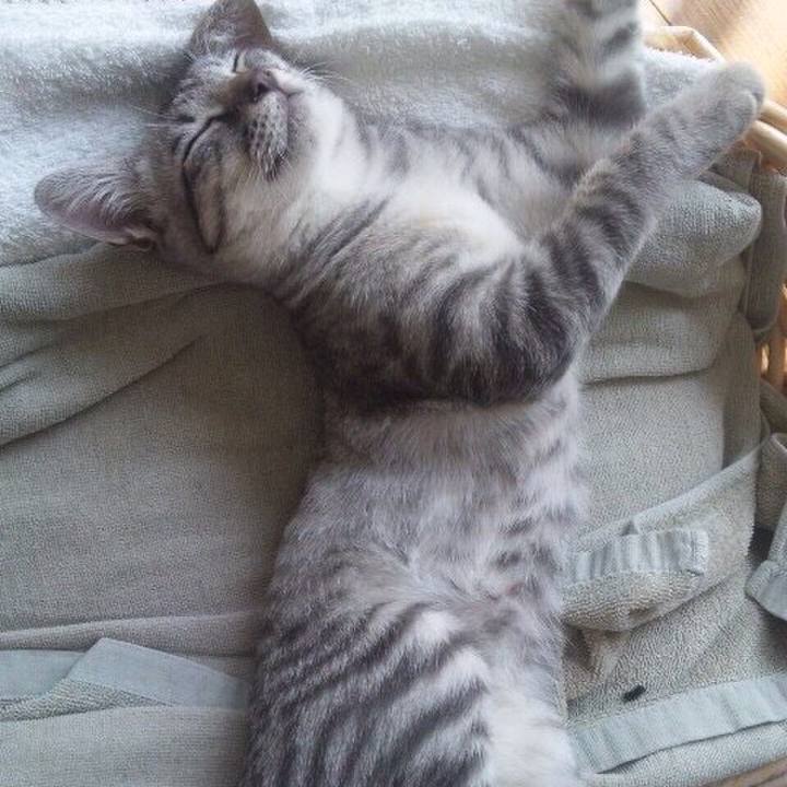 52e4eeac 4423 4f76 b59a 026e6b46eb96