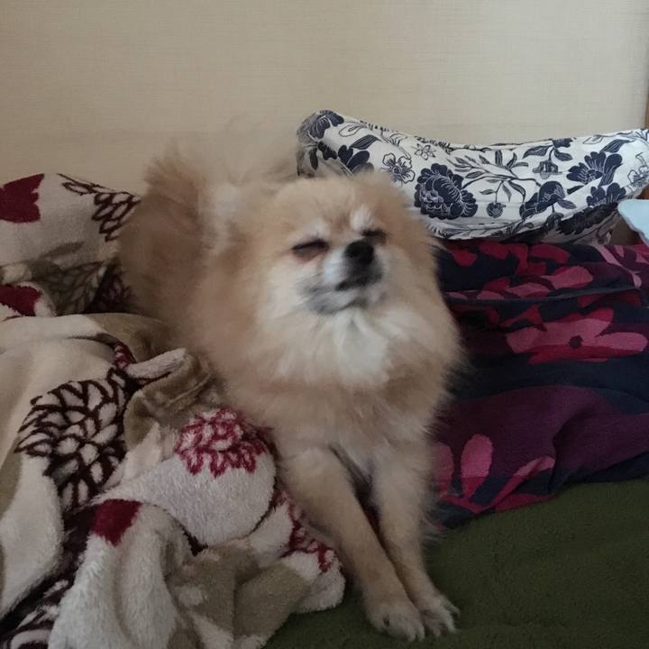 52e5bd84 df67 4e14 b51d 133eefa639ed