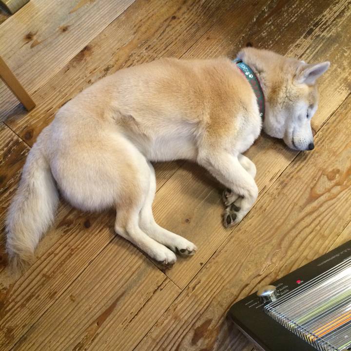 52e5f4b0 3ba6 4118 9c33 42ba8e4c442d