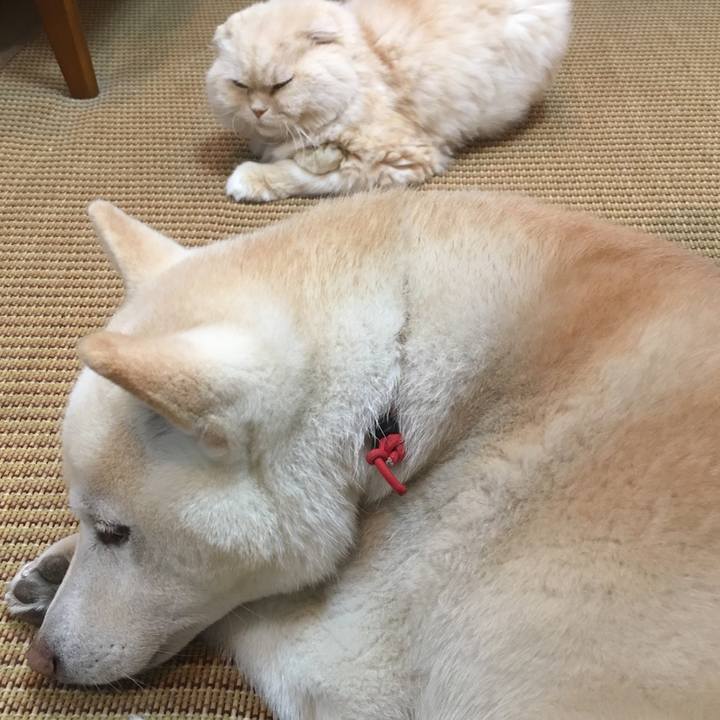 52e667aa 0bcc 459b ad0c 5e57ee88d032