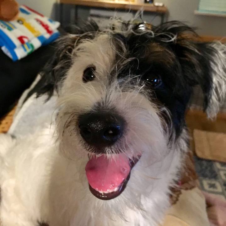 52e67a90 1cd4 4d3d 94a4 46014687629d