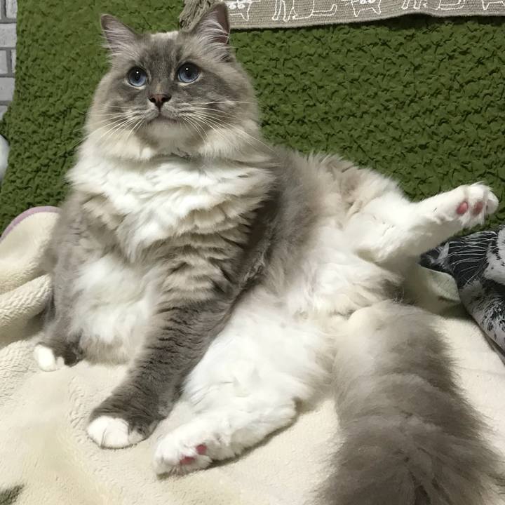 52e6ab98 8c48 4233 aed4 8f35d65ef5de