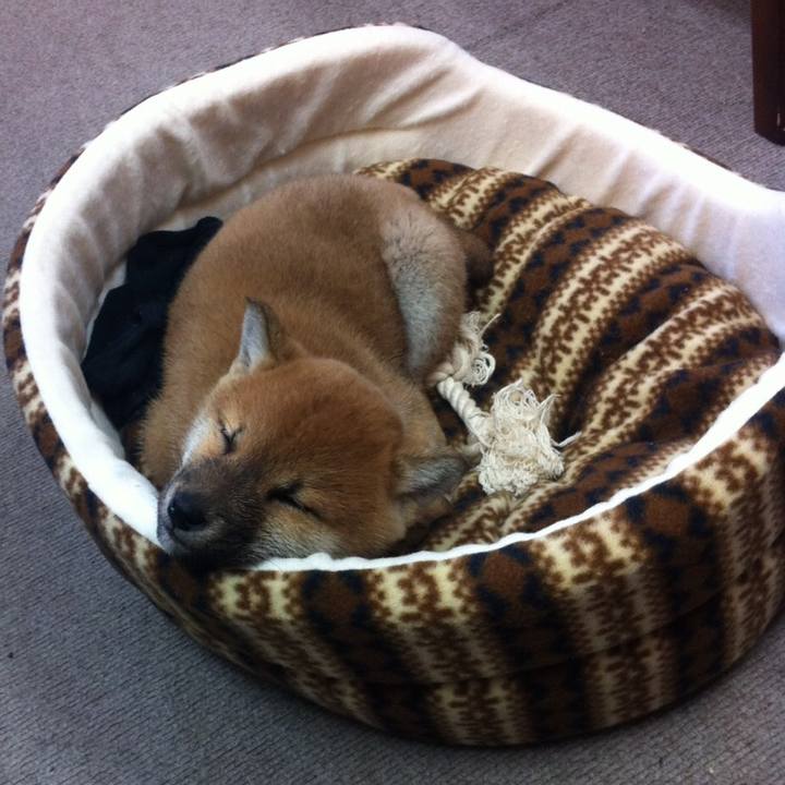 52e7f423 fb8b 4bf6 9543 8b7630f196e3