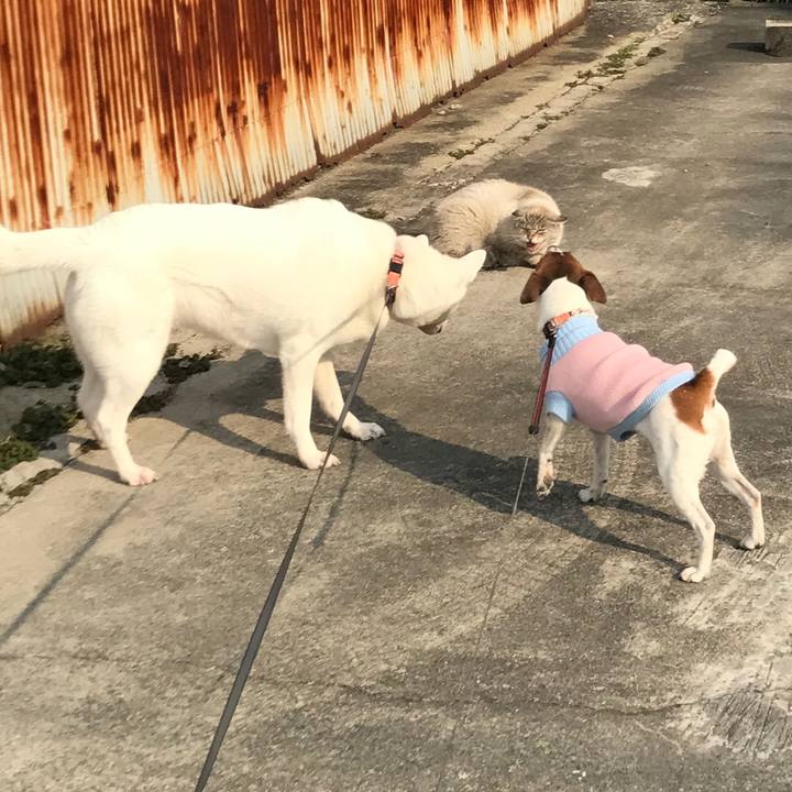 52e7ffe6 2104 43c6 9383 e5675fc1c744