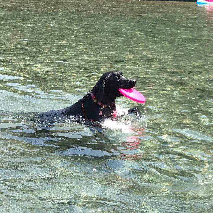 52e902b4 d3b5 4bf5 8bfc 2be5c5ad2018