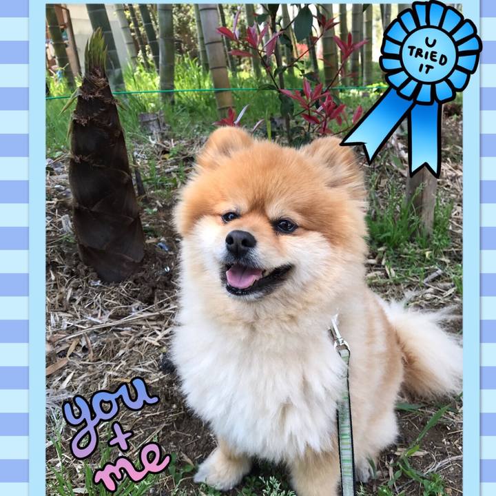 52e947eb 07be 419c 9923 ba637094c6c8