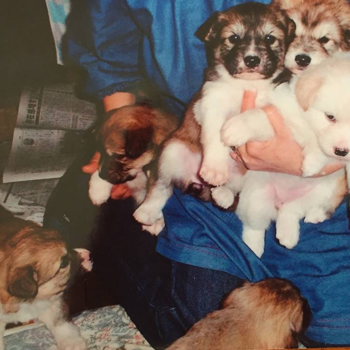 52e94920 d695 472c b4d0 6271db1c2daa