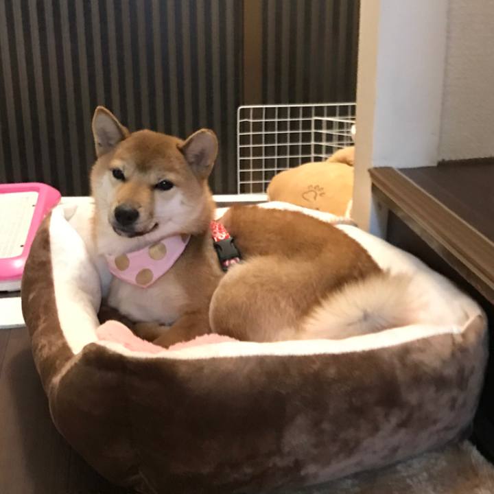 52ea7810 0d7d 4ca4 9469 f0f3dfd25878