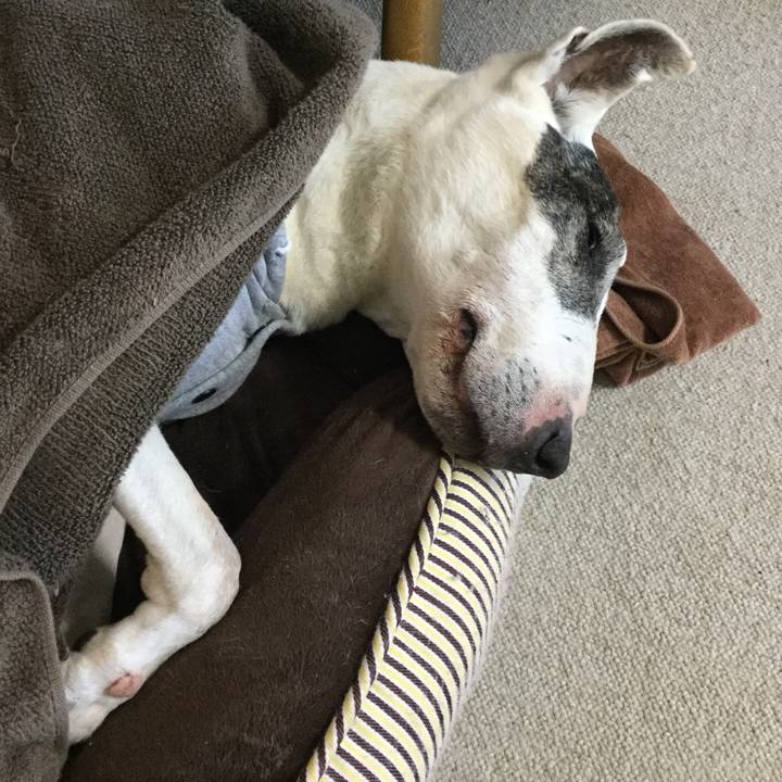 52eb39f2 94df 41d9 bc78 f578f2622dc8