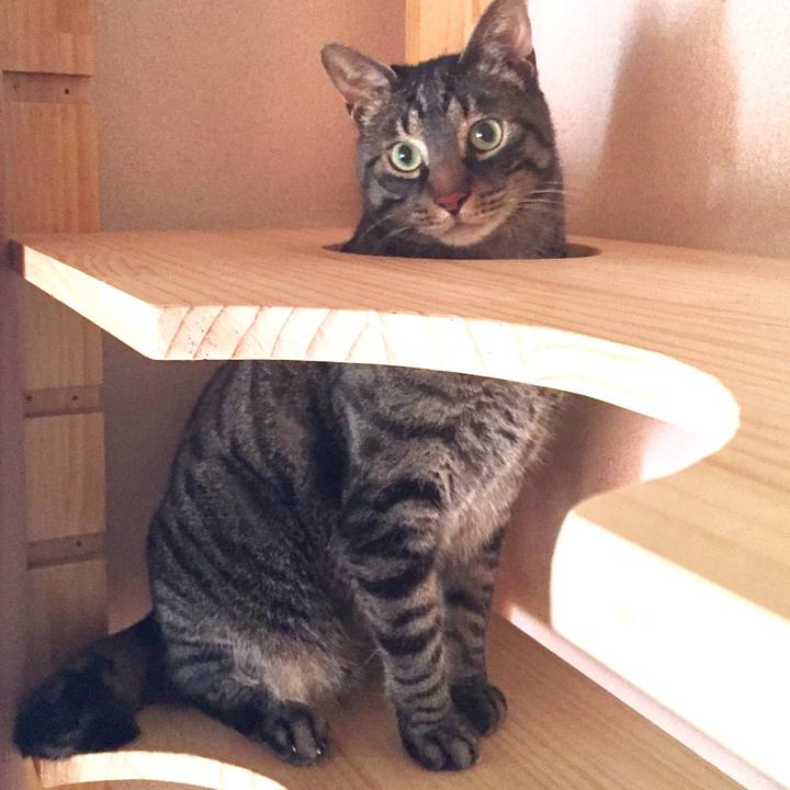 52eb6a1b 041b 4db9 a7dc 87ea561a8399