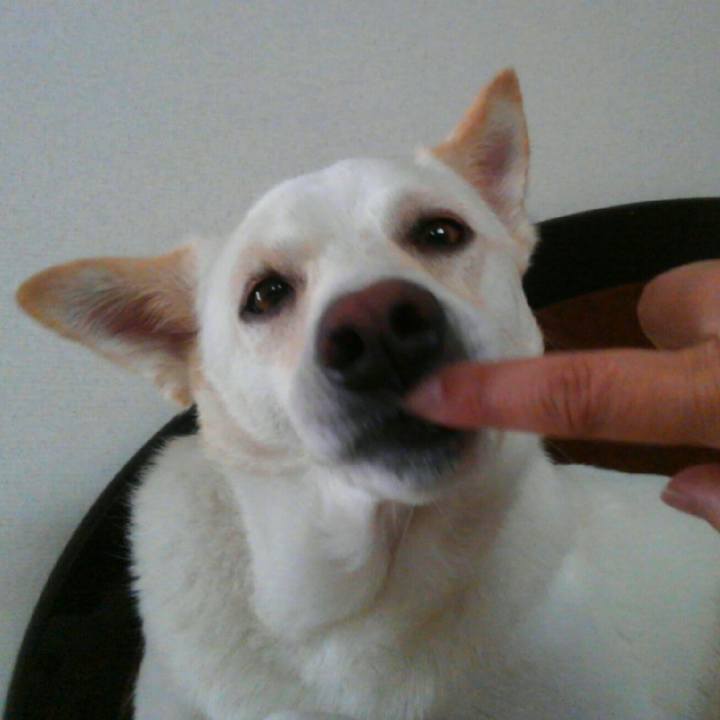 52eb98e3 c48b 4c88 a88c ea0a6b6f3716