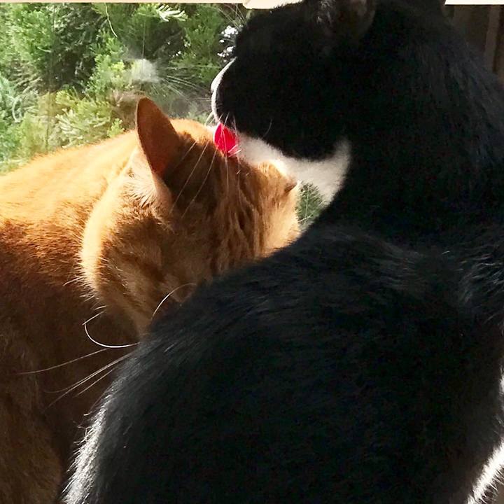 52ebafa8 38db 42ff aaf2 47aa79c23e7e