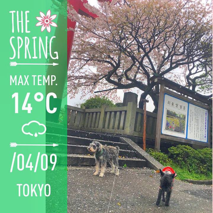 52ebb5cf 9a17 4c14 80f1 c01e7d2d7cb2