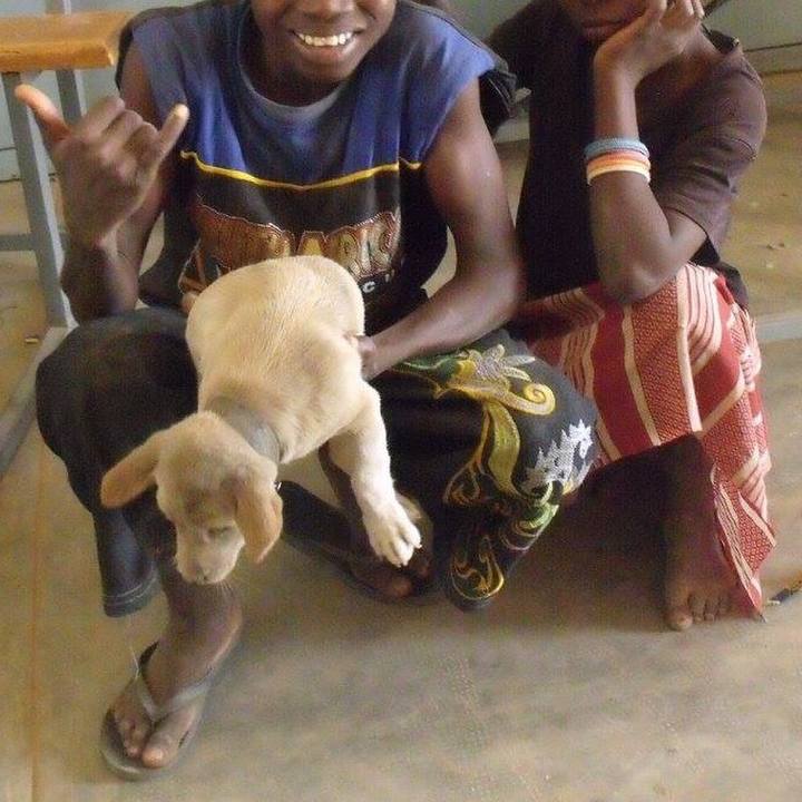 52ebda40 8cb2 42bc b2ca b4b4fa8bae03