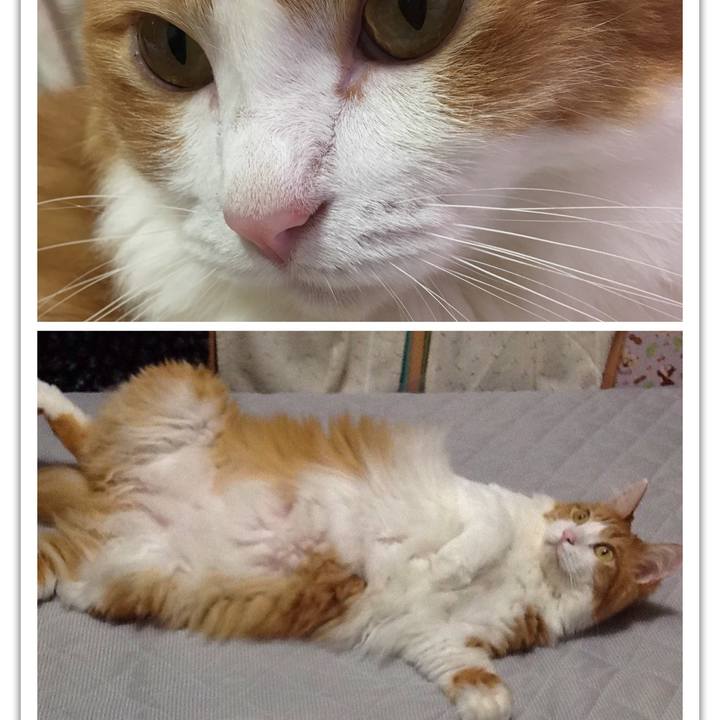 52ebe393 ef2b 4c44 a327 de9572b21d92