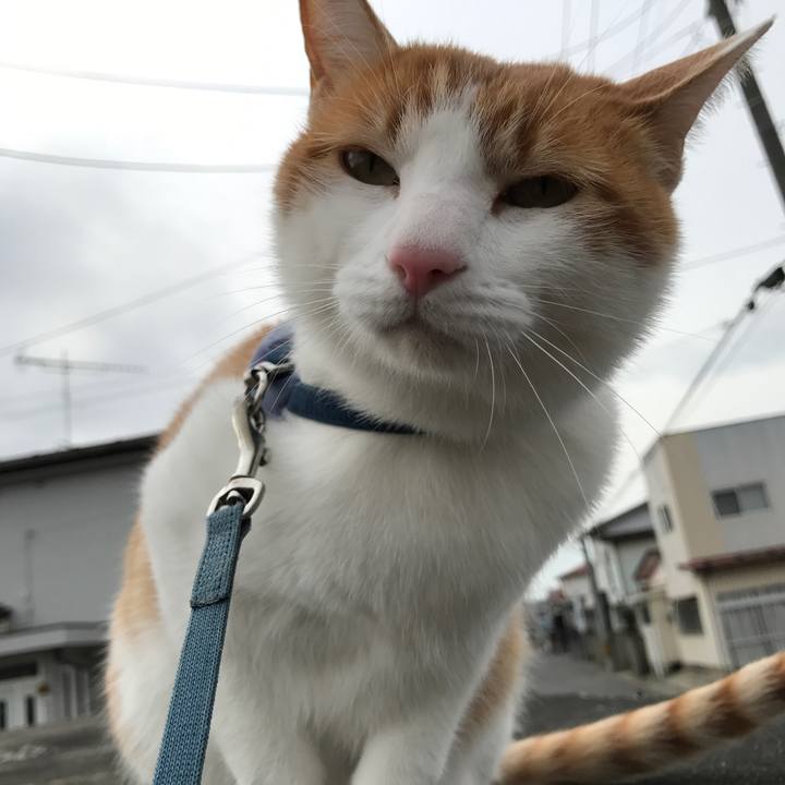 52ec5309 e392 4d05 aa74 b46429fe99e1